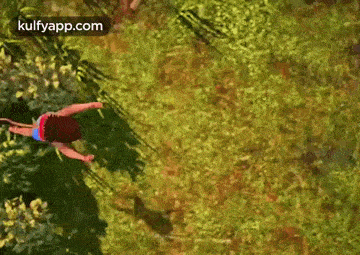 an aerial view of a person flying through the air in the grass .