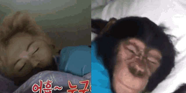 a woman is sleeping next to a chimpanzee with chinese writing on the bottom