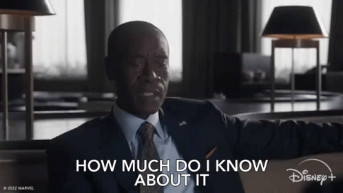 How Much Do I Know About It James Rhodes GIF - How Much Do I Know About It James Rhodes Don Cheadle GIFs