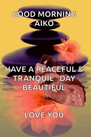 a picture of a butterfly and flowers with the words " good morning aiko have a peaceful & tranquil day beautiful love you "