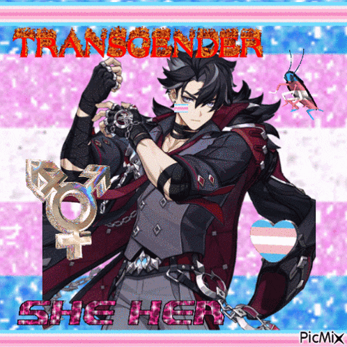 a picture of a transgender anime character with the words transobinder she her on the bottom