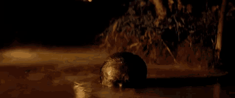 a statue of a ram 's head is floating in the water