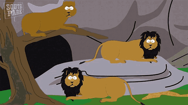 Laughing Lion Lions GIF