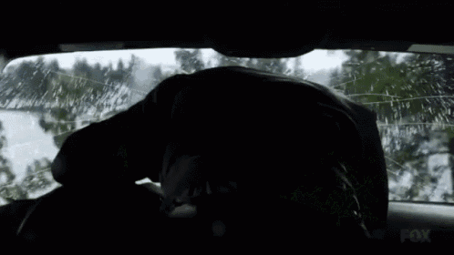 a person is standing in the back seat of a car with a broken windshield .