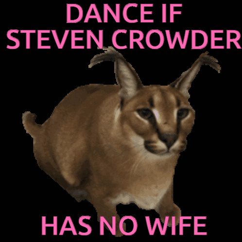 Steven Crowder GIF - Steven Crowder Mywifeleftme GIFs