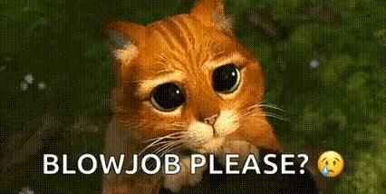 a sad cat is asking for a blowjob .
