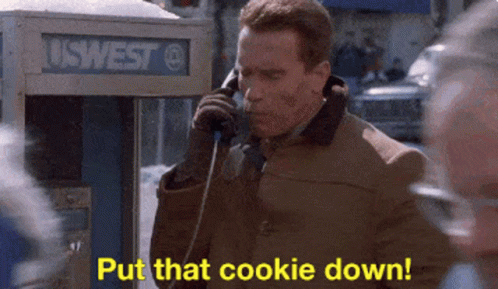 Jingle All The Way Put That Cookie Down Now GIF - Jingle All The Way Put That Cookie Down Now Arnold GIFs
