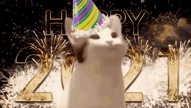 a cat wearing a party hat is standing in front of the number 21