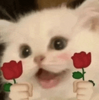 a kitten is holding two red roses in its hands .