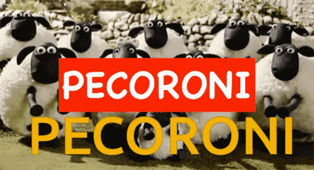 a group of sheep are standing in front of a sign that says pecoroni
