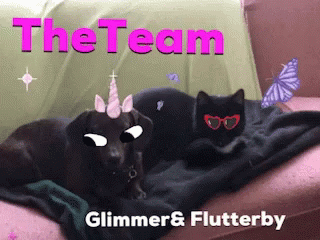 The Team Glimmer GIF - The Team Glimmer Flutterby GIFs