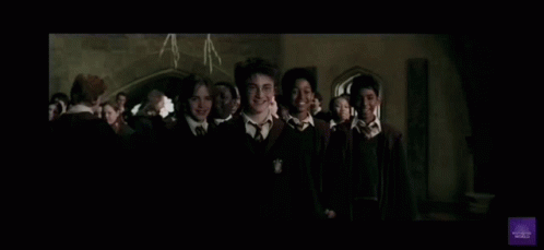 Harry Potter Ridiculous Scene GIF - Harry Potter Ridiculous Scene Hermione Laughing GIFs