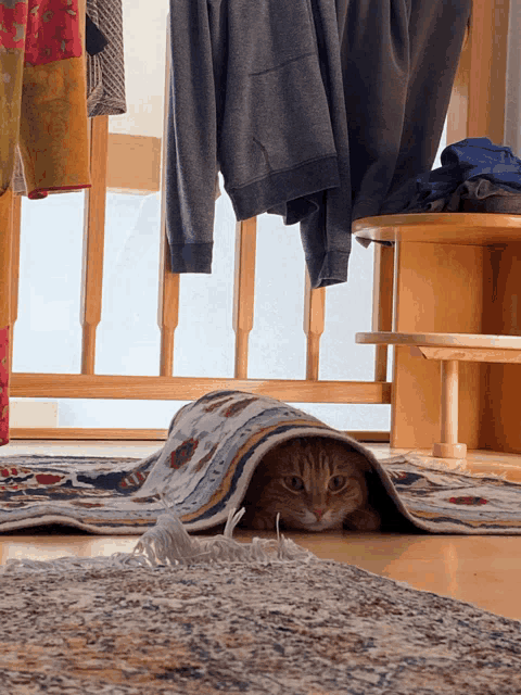 a cat is hiding under a rug with clothes hanging on the railing in the background
