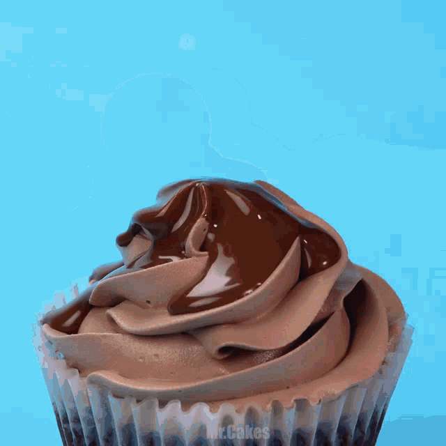 a close up of a chocolate frosted cupcake with mr.cakes written on it