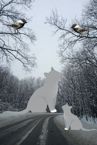 a cat and a kitten are sitting on the side of a road