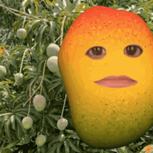 Mangoes Fruits GIF - Mangoes Fruits GIFs