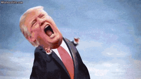 a picture of donald trump screaming with hilariousgifs.com written below him