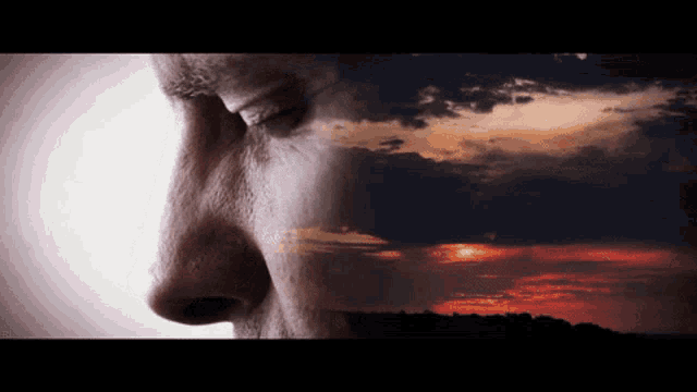 a close up of a person 's face with a sunset behind it