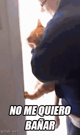 a man is holding a cat in his arms in front of a door and the cat is looking out the window .
