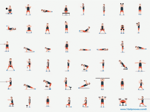 Gym Exercise GIF - Gym Exercise Work Out GIFs