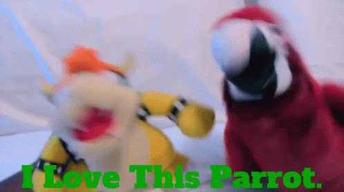 Sml Bowser GIF - Sml Bowser I Love This Parrot GIFs