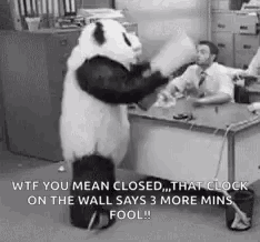 a panda bear is standing in front of a man sitting at a desk and says wtf you mean closed