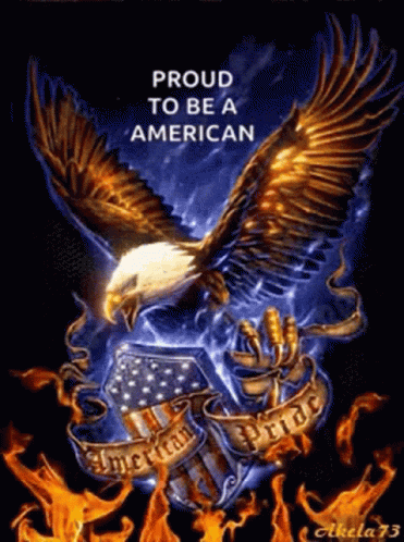 American Usa GIF - American Usa Eagle GIFs