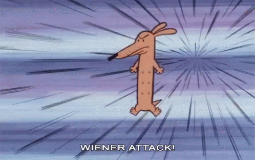 Wiener Attack Dog GIF - Wiener Attack Dog GIFs