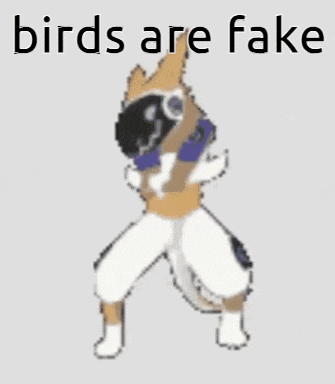 a picture of a cartoon character with the words birds are fake on it
