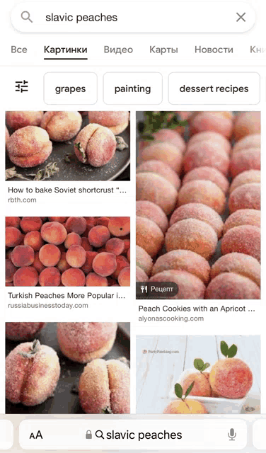 a google search for slavic peaches is shown