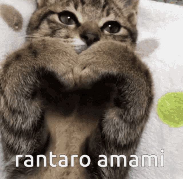 Rantaro Amami Amami Rantaro GIF - Rantaro Amami Amami Rantaro Rantaro Danganronpa GIFs
