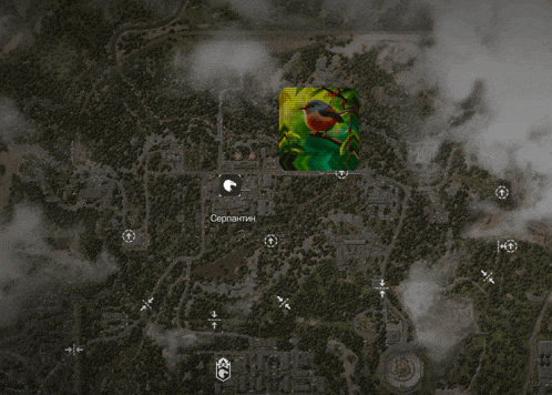 a map showing a bird in the middle of the forest