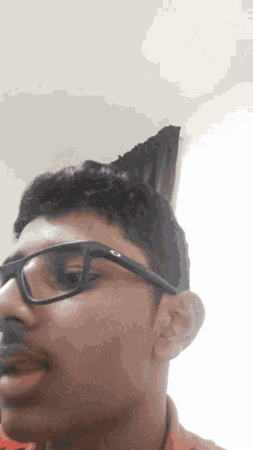 a man wearing glasses and a mustache looks at the camera