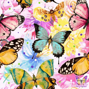a bunch of butterflies on a white background with the words tap color on the bottom