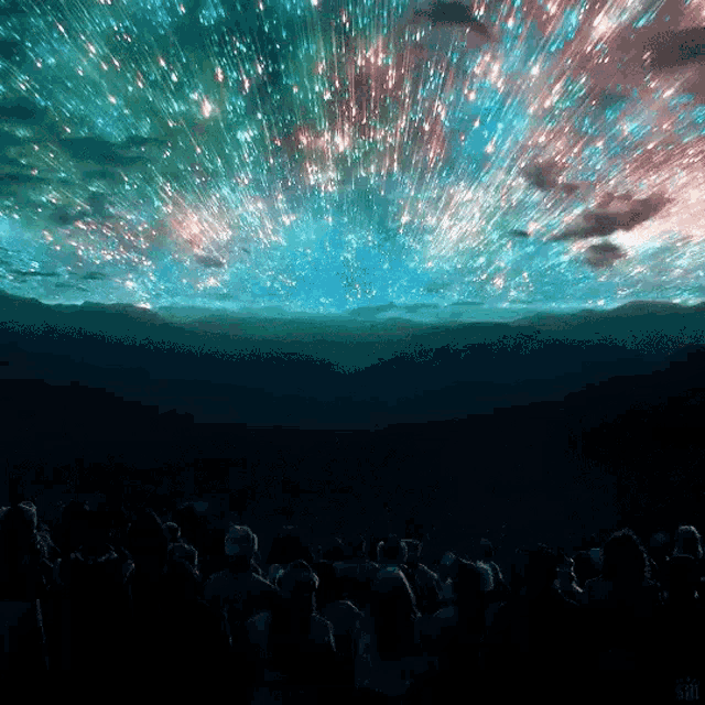 a crowd of people watching a fireworks display in the night sky
