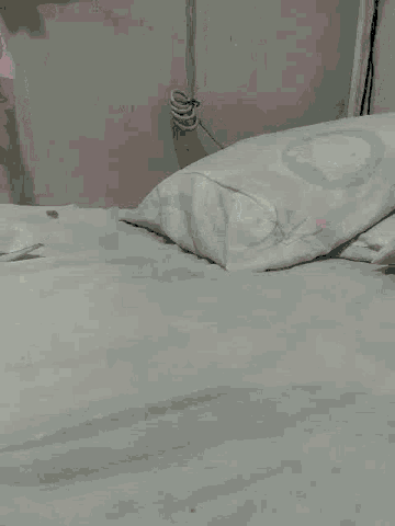 Bed Time Shaking GIF - Bed Time Shaking Bed GIFs