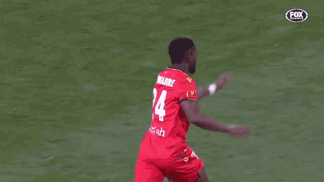 Adelaide United Excited GIF - Adelaide United Excited Ecstatic GIFs