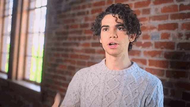 a young man with curly hair is wearing a gray sweater in front of a brick wall