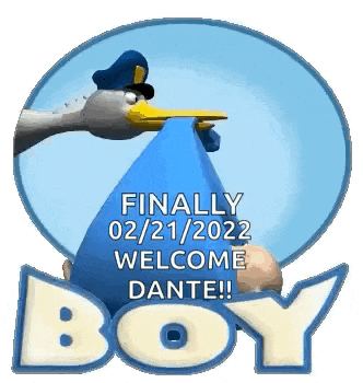 a stork is holding a baby in its beak and the words `` finally welcome dante ! ''