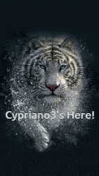 a picture of a tiger with the name cypriano3 's here