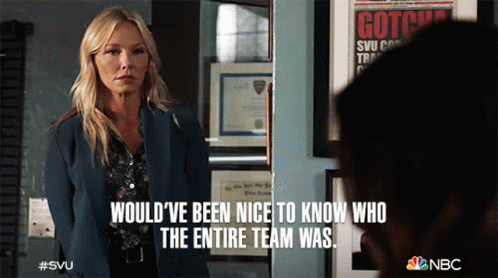 Wouldve Been Nice To Know Who The Entire Team Was Amanda Rollins GIF - Wouldve Been Nice To Know Who The Entire Team Was Amanda Rollins Law And Order Special Victims Unit GIFs