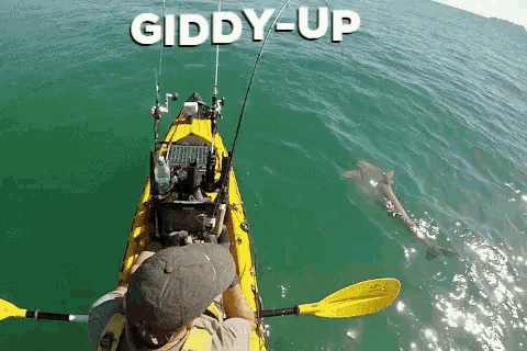 Giddyup Up GIF - Giddyup Giddy Up GIFs