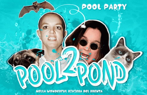 Pool Party Pool2pond GIF - Pool Party Pool2pond Domani GIFs