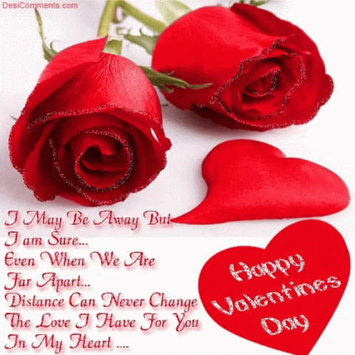Valentines Day GIF - Valentines Day Happy GIFs