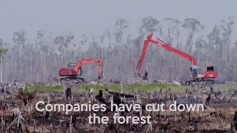 Companies Cut Down Forest GIF - Companies Cut Down Forest GIFs
