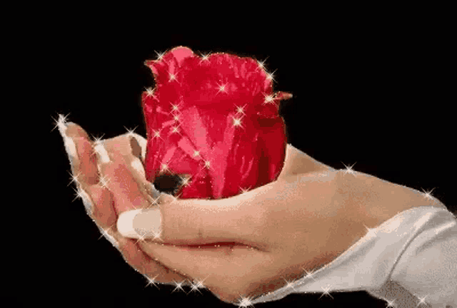 a woman is holding a red rose in her hands with sparkly nails .