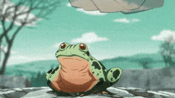a frog is sitting on a rock and looking up at the sky