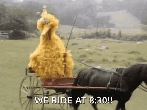 big bird is riding a horse drawn carriage in a field