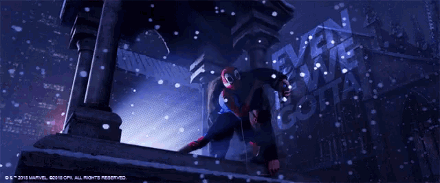 Lets Go Spider Web GIF