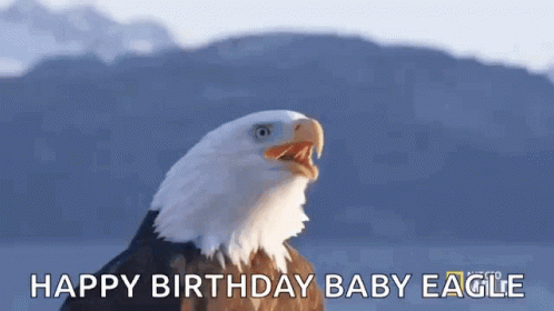 Baby Eagle GIF - Baby Eagle Bald GIFs